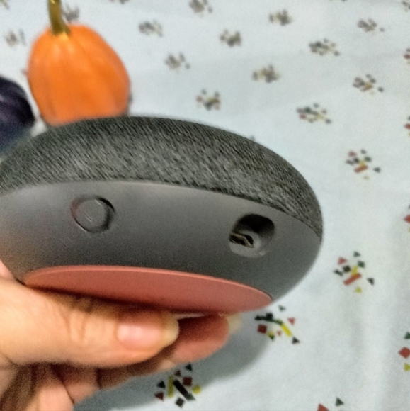 Goggle Nest - Picture 3 of 3